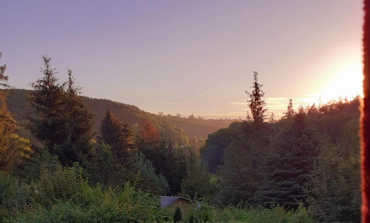 Talblick 2 - Ihr Zuhause : Das Ferienhaus Mitten Im Idyllischen Tal Bad Bibra Buitenkant foto