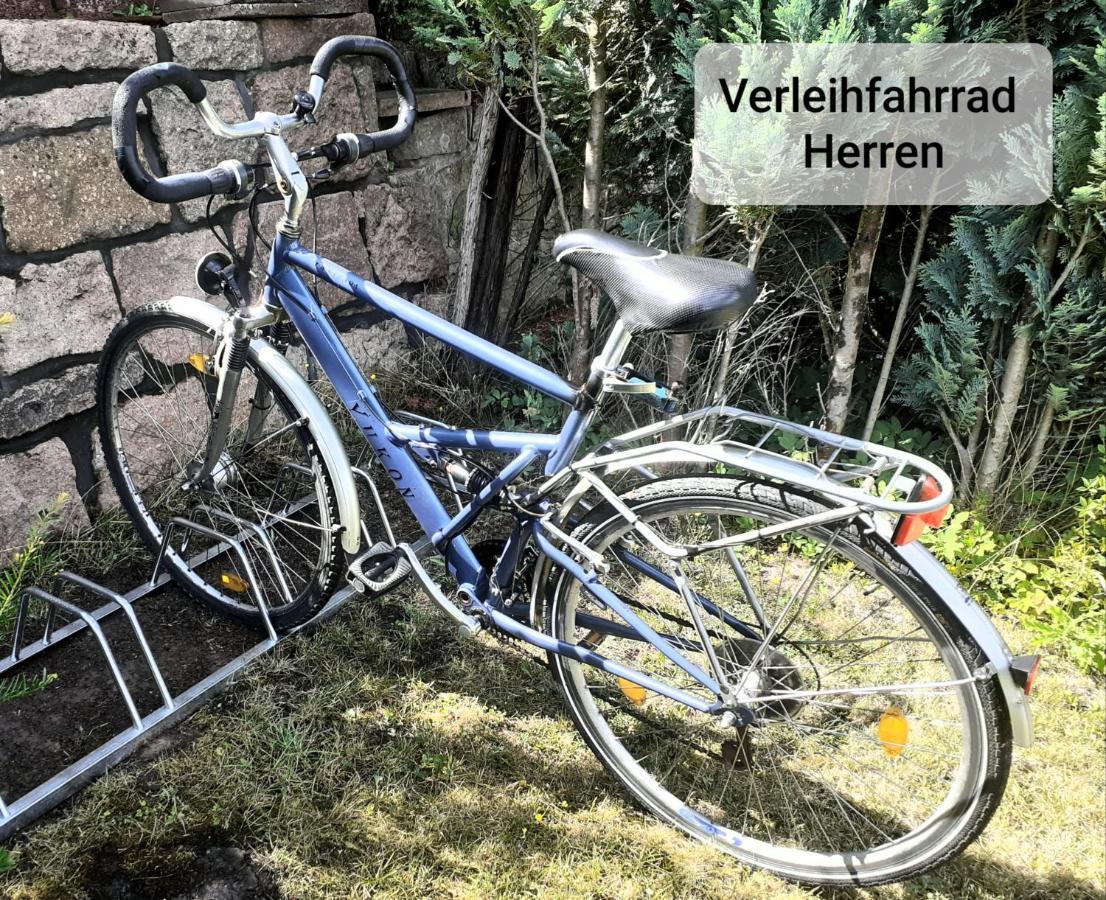 Talblick 2 - Ihr Zuhause : Das Ferienhaus Mitten Im Idyllischen Tal Bad Bibra Buitenkant foto
